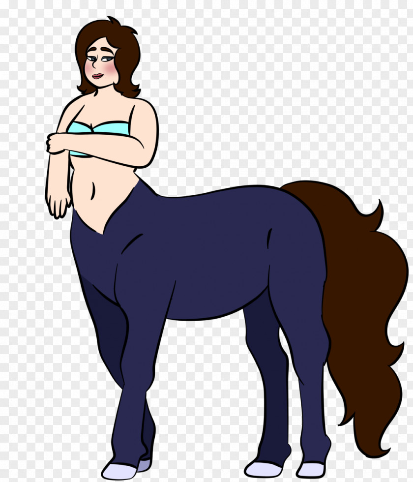 Centaur Mustang Stallion Pony Colt Rein PNG