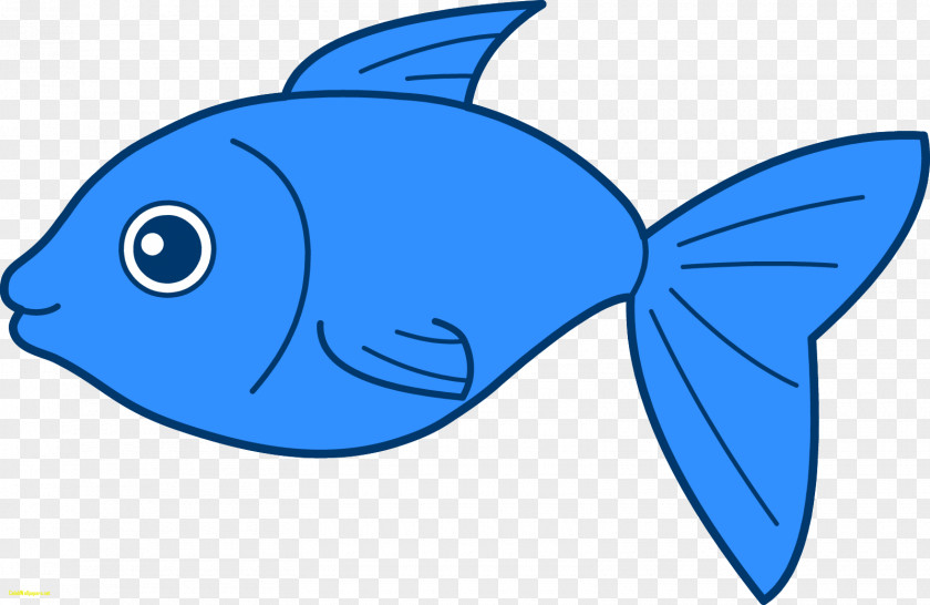 Fish Clip Art PNG