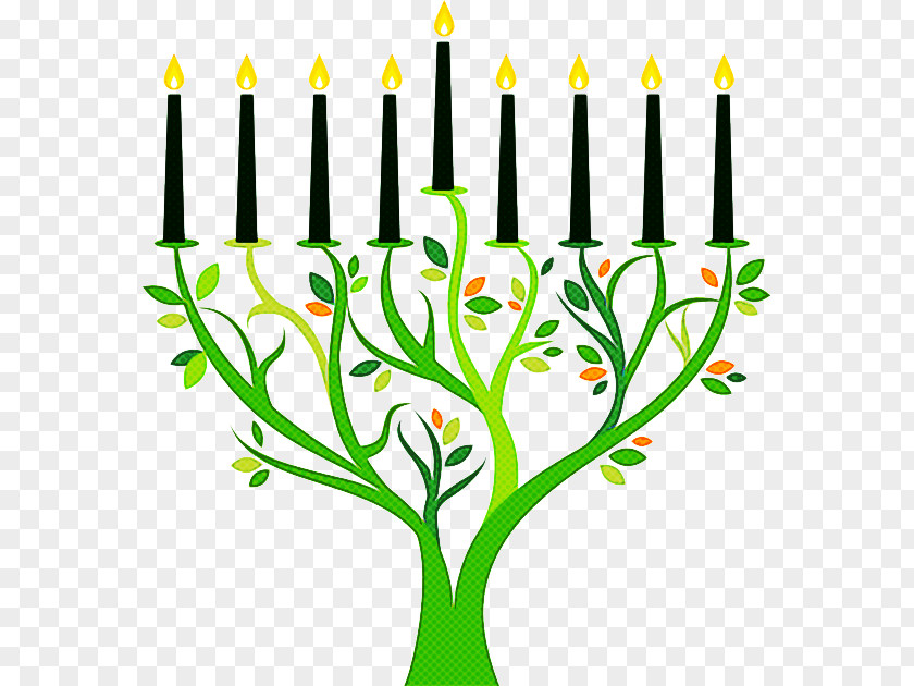 Green Candle Holder Plant Flower PNG