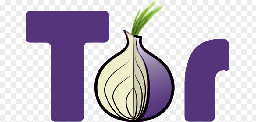 Intelligent Monitoring Tor .onion Onion Routing Anonymous Web Browsing Anonymity PNG