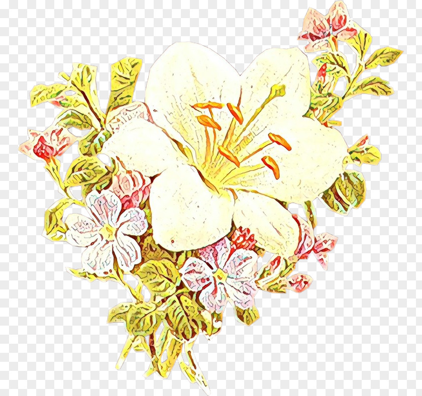 Pedicel Blossom Flower Plant Petal Cut Flowers Clip Art PNG