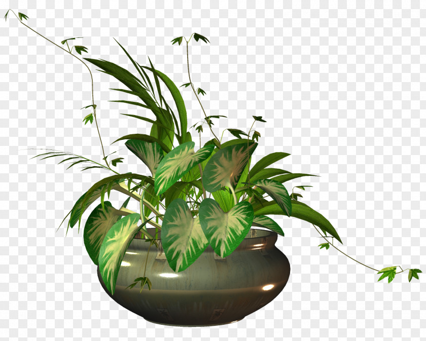 Plant Flowerpot Houseplant PNG