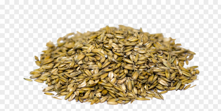 Sack Oat Anise Fennel Tempering Caraway PNG