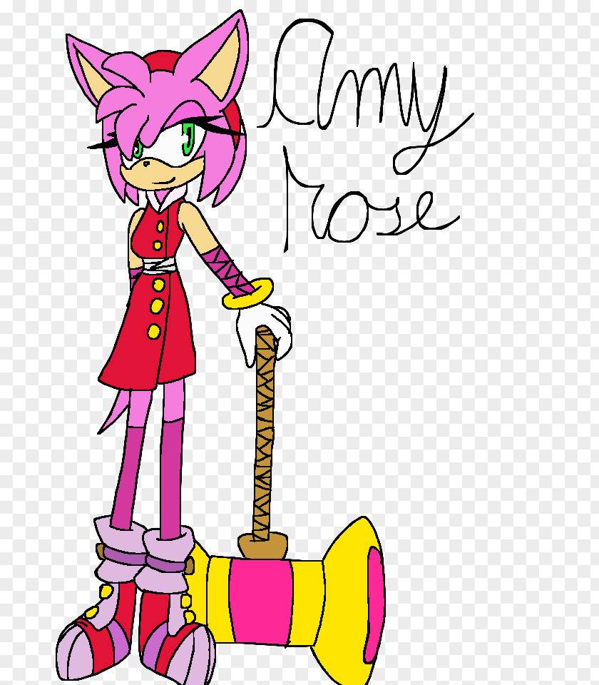 Amy Rose Boom Clip Art Illustration Cartoon Line Product PNG
