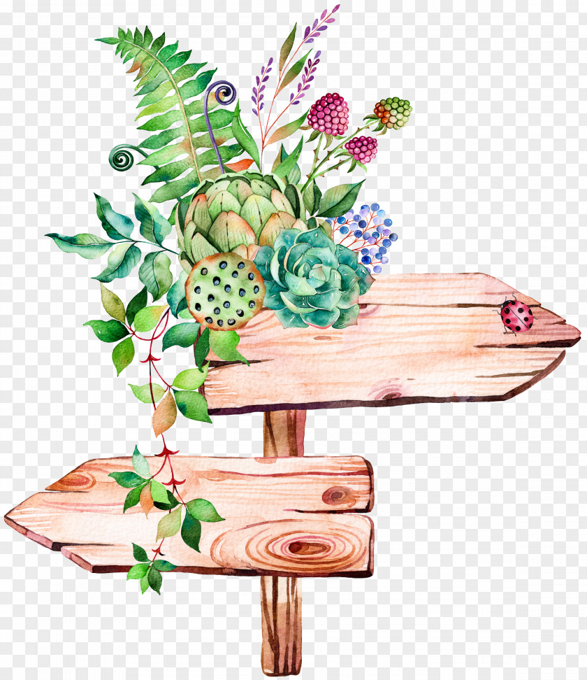 Hand-painted Signs Succulent Plant Watercolor Painting Illustration PNG