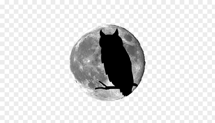 Owl Moon Art Full PNG