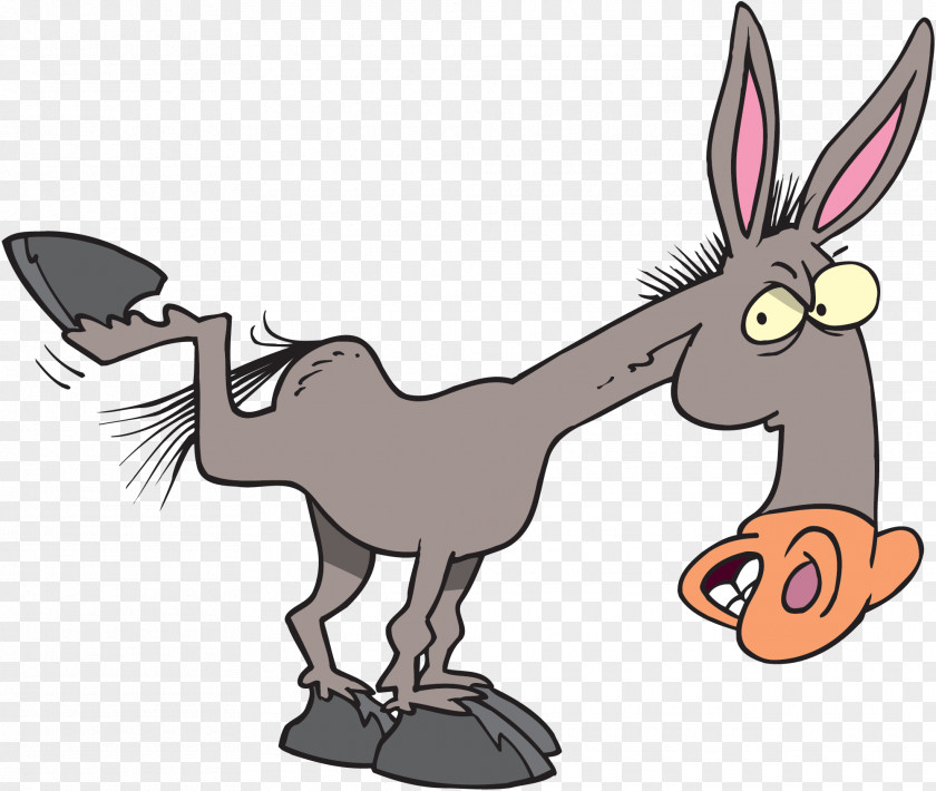 Donkey Mule Horse Cartoon Clip Art PNG