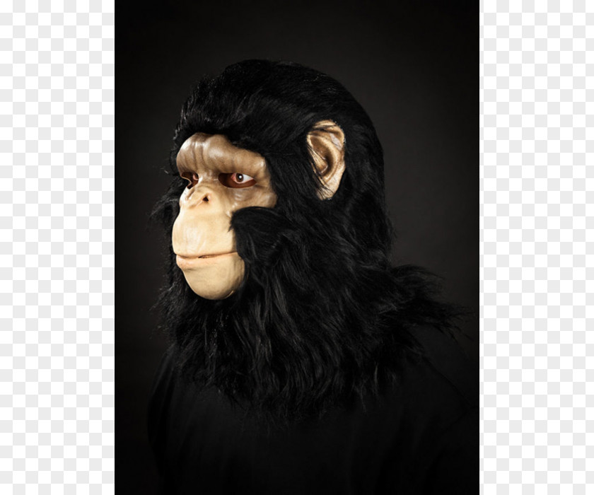 Maska Common Chimpanzee Gorilla Monkey Mask Mysticum.cz PNG