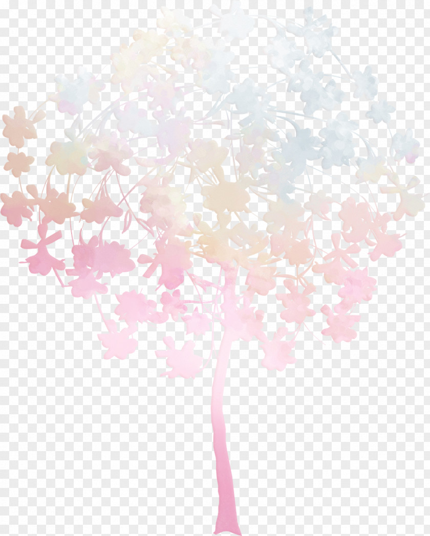 Spring Tree Flower Woody Plant Petal Floral Design PNG