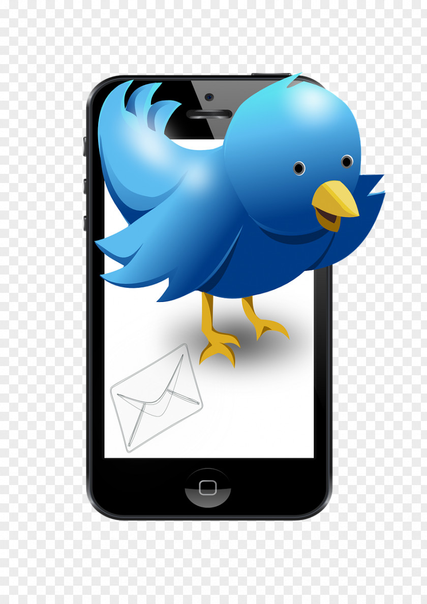 Bird Clip Art Social Media Advertising Tweety PNG