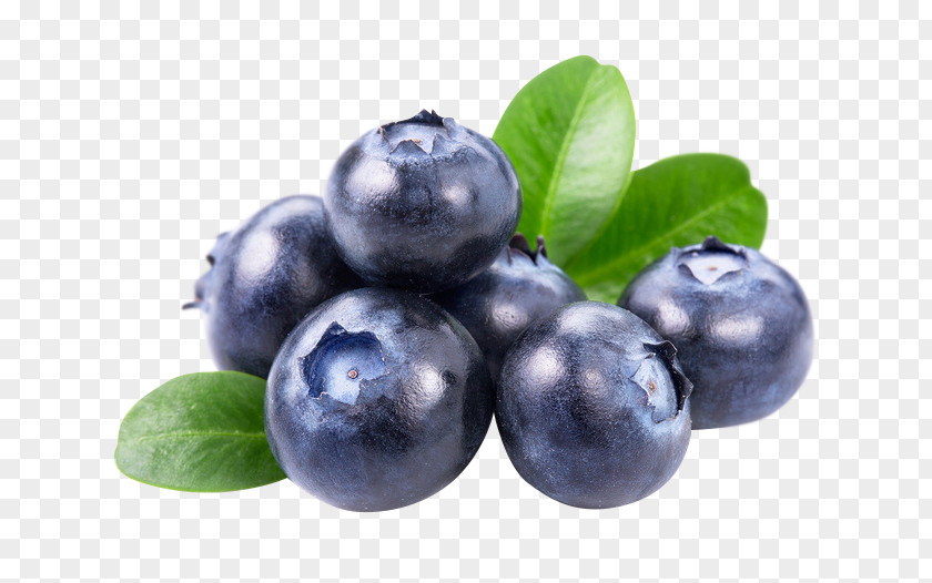 Blueberry European Berries Food Royalty-free PNG