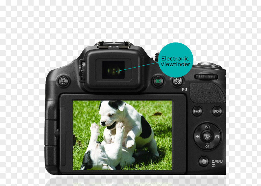 Camera Lens Digital SLR Panasonic Lumix DMC-FZ200 DMC-FZ300 Bridge PNG
