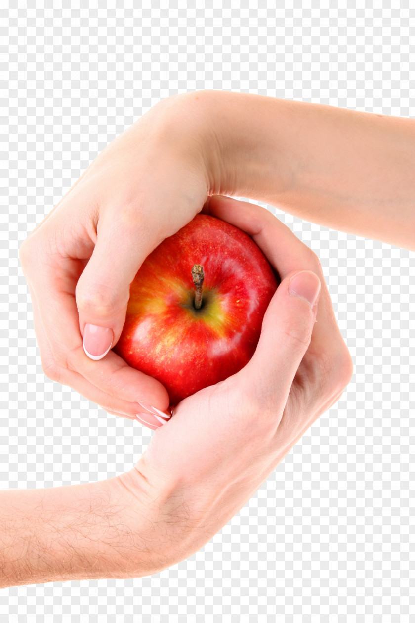 Contention Red Apple Holding Hands Stock.xchng Image File Formats PNG