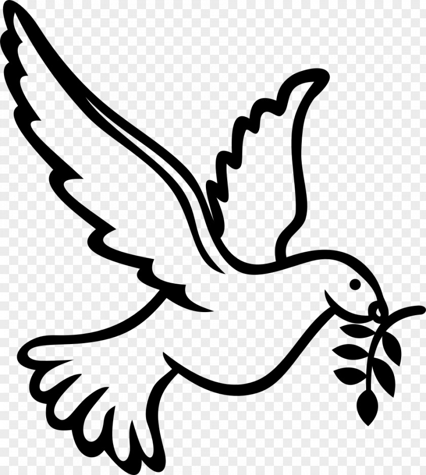 Dove Clipart Columbidae Doves As Symbols Clip Art PNG