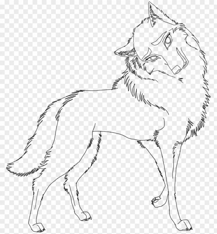 Husky Line Art Drawing Siberian PNG