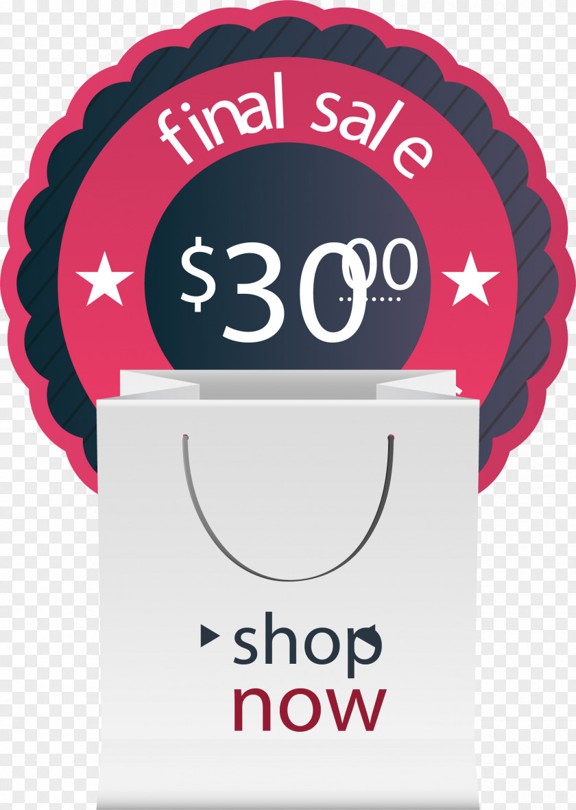 Shopping Bag Promotional Poster Promotion PNG