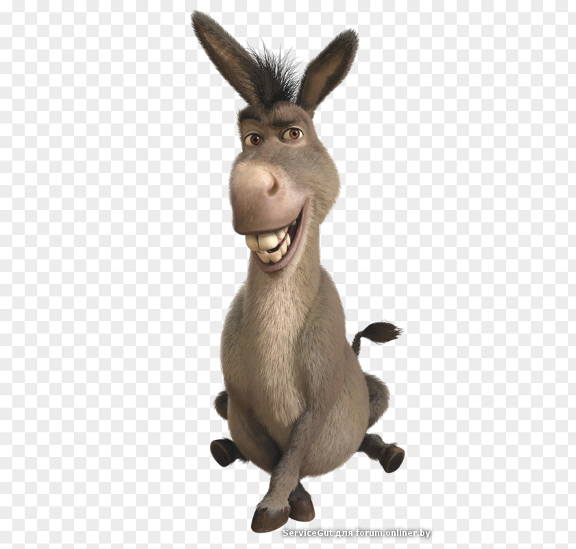 Donkey Princess Fiona Shrek Lord Farquaad DreamWorks Animation PNG