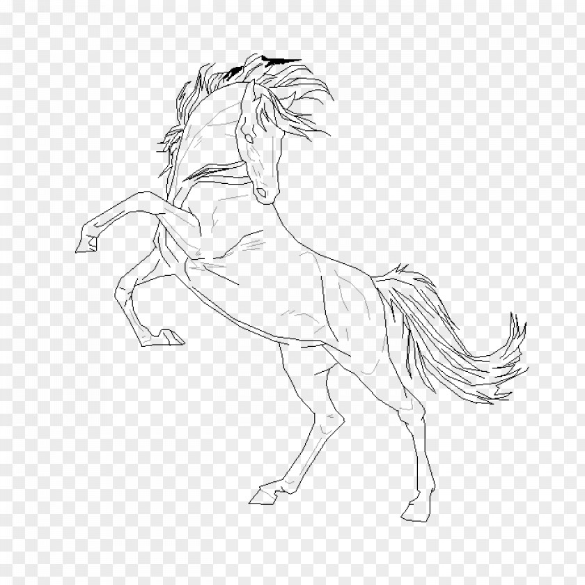 Mustang Stallion Pack Animal Drawing Sketch PNG