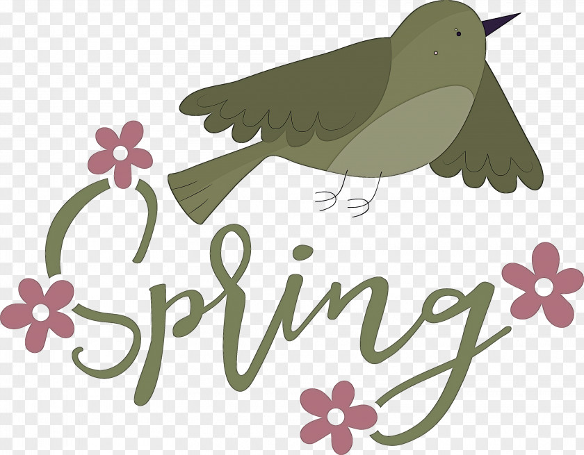 Spring Bird PNG