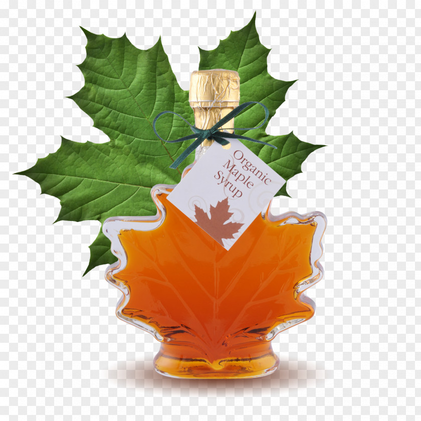 Sugar Maple Tree Leaf Canadian Cuisine Syrup Pancake French Toast PNG