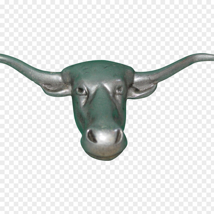 Longhorn Cattle Goat Horn Animal Mammal PNG