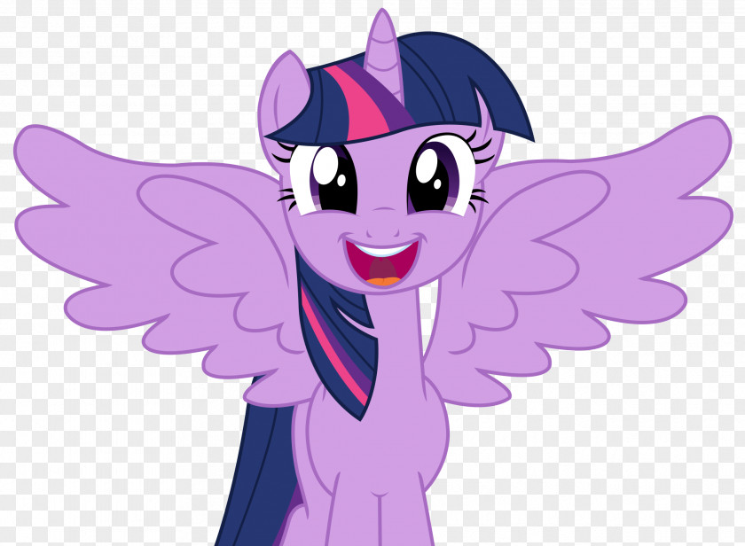 My Little Pony Twilight Sparkle Pinkie Pie Derpy Hooves Winged Unicorn PNG