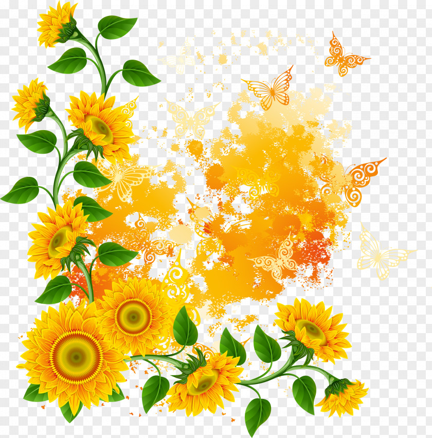 Sunflower Effect Bokmxc3xa4rke Free Content Clip Art PNG