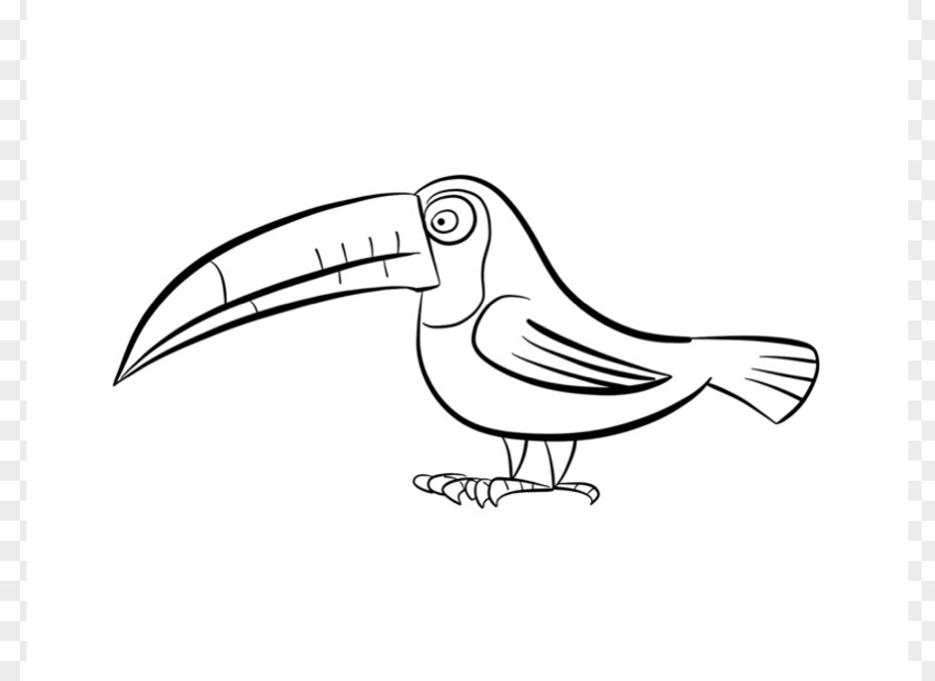 Toucan Outline Beak Black And White Drawing Clip Art PNG