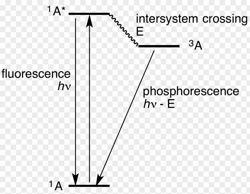 Triangle Document PNG