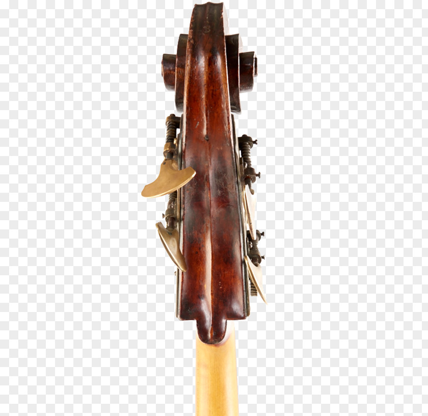 Violin Cello Double Bass Lion Guitar PNG