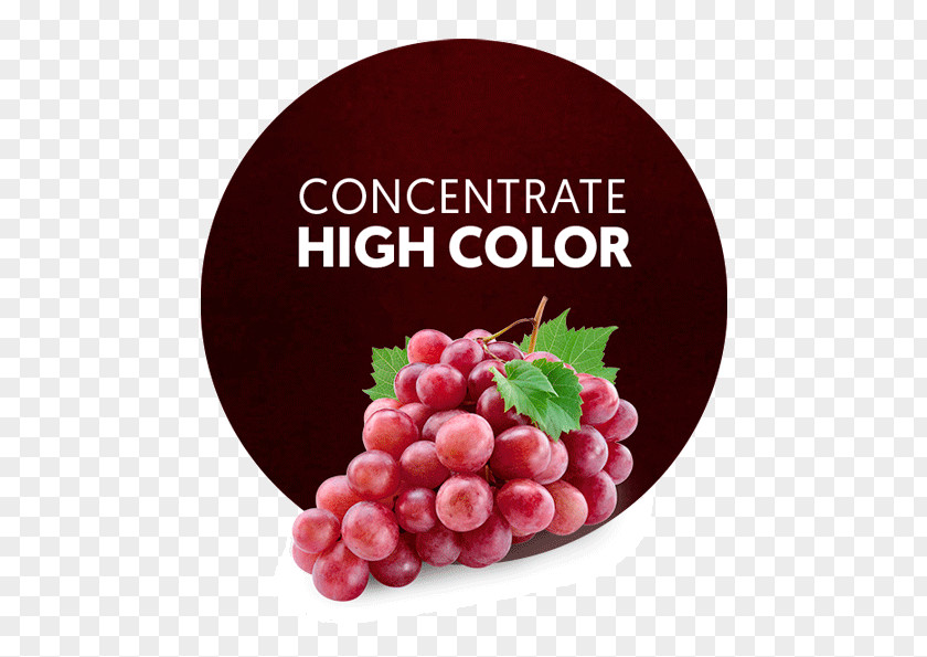 White Grape Juice Common Vine Red Wine Globe PNG
