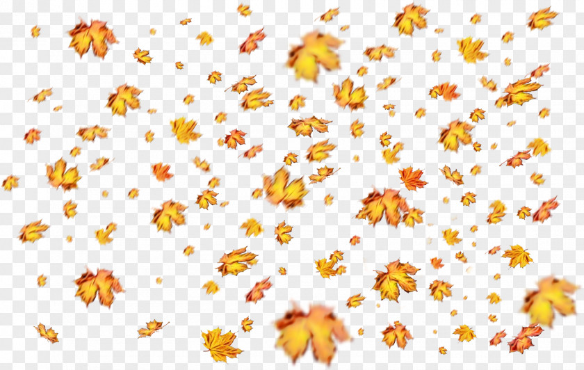 Wildflower Flower Watercolor Background PNG