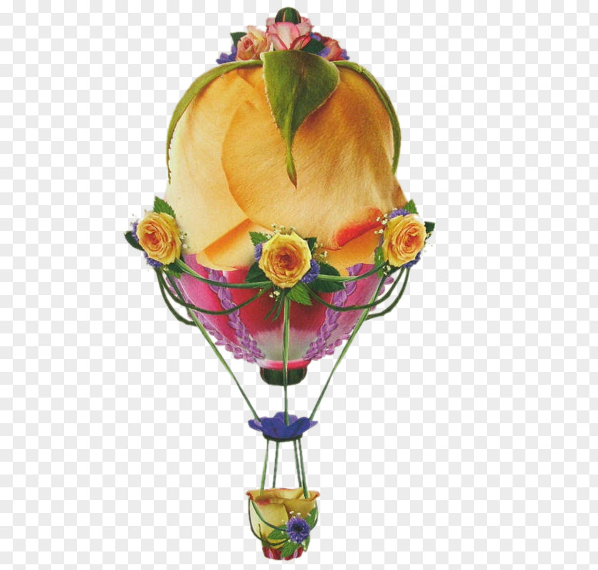 Balloon Hot Air Cut Flowers PNG