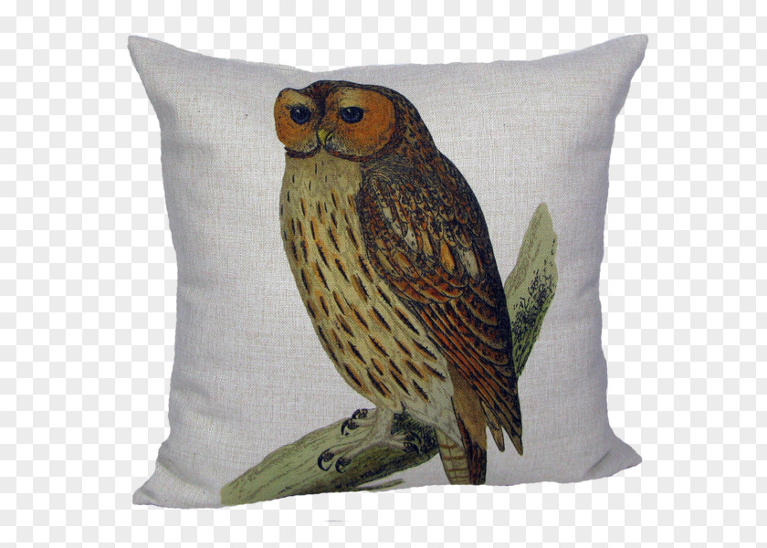 Bird Nest Pillow Owl Throw Pillows Cushion Chair PNG