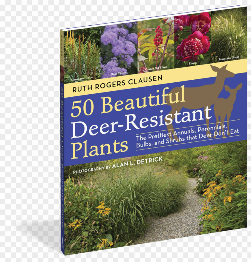 Deer Flowers Garden Shrub Lawn Wildlife PNG