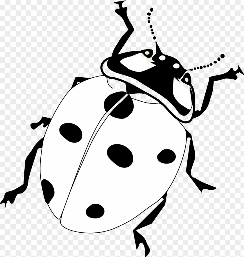 Grouchy Ladybug Drawing Line Art Black And White Clip PNG