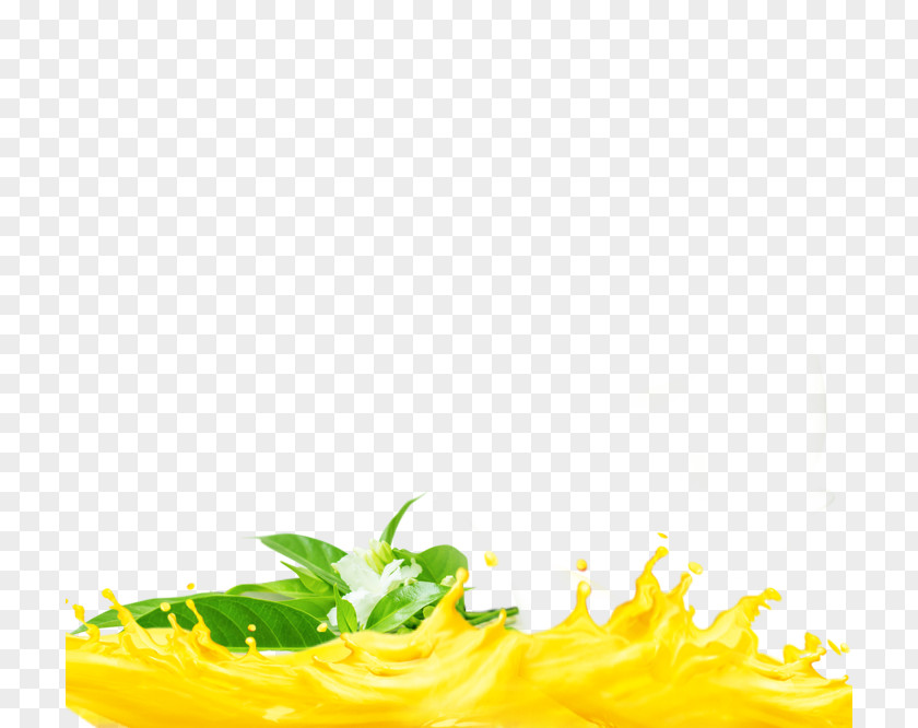 Mango Fruit Drinks Poster King Juice Milkshake Drink PNG