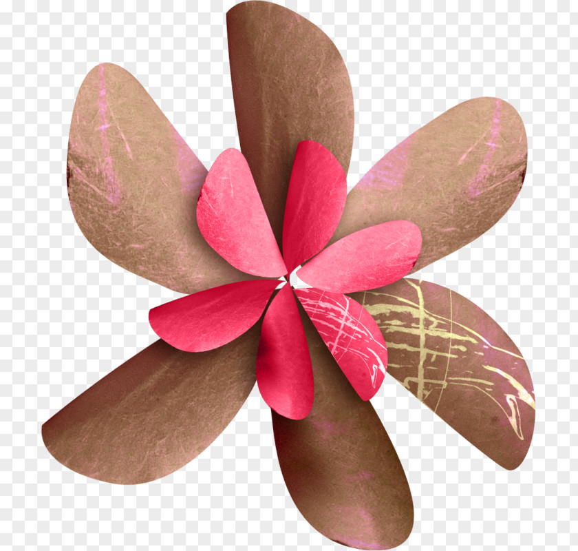 Salam Flower Paper Cloth Napkins Product Design Petal PNG