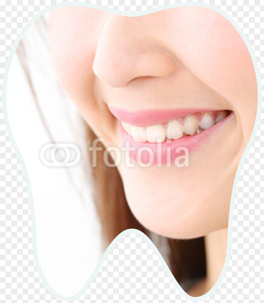 Smile Cheek Chin Jaw Mouth PNG