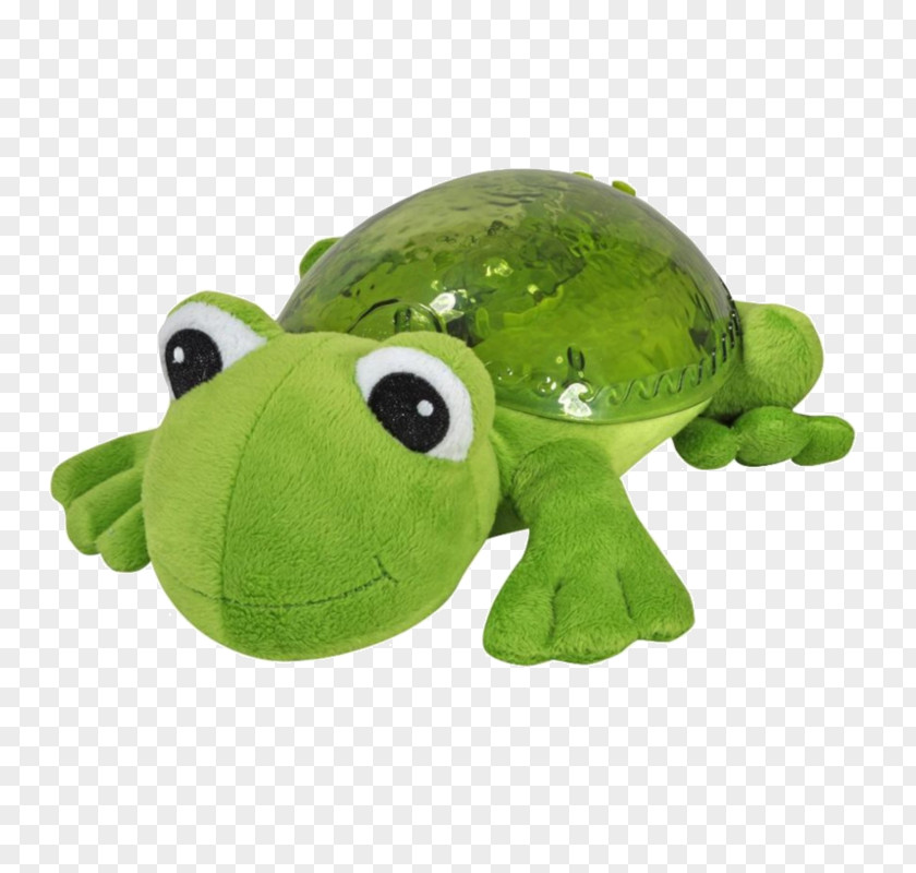 Tranquil Frog Amazon.com Turtle Child Light PNG
