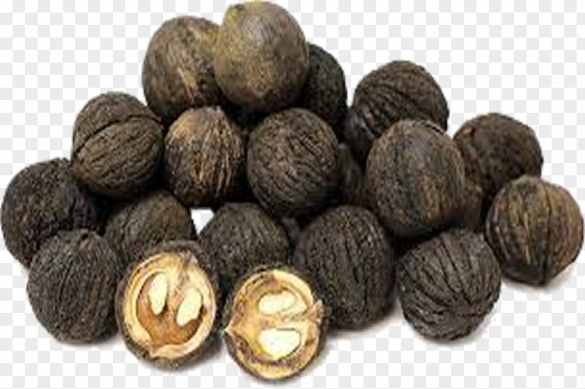 Walnut Eastern Black Dietary Supplement English PNG
