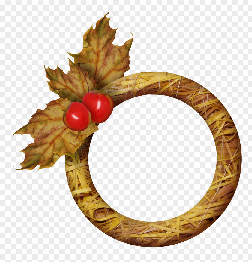Apple Leaves Wooden Ring Leaf Photography Picture Frames PNG