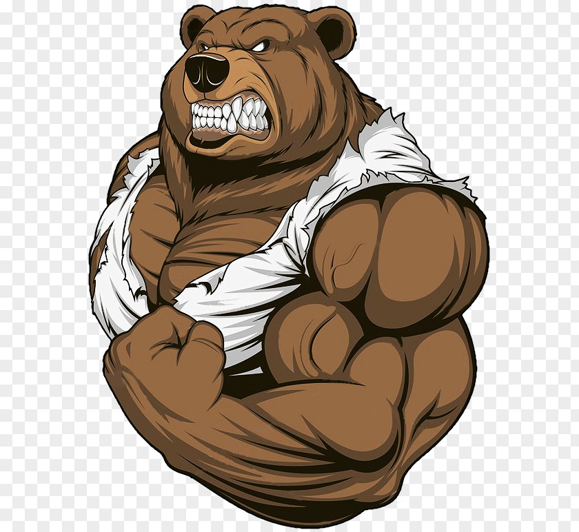 Bear Muscle Clip Art PNG