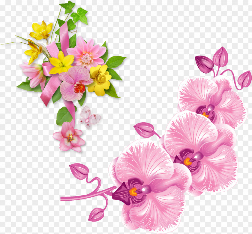 Clip Art Vector Graphics Orchids Royalty-free Illustration PNG