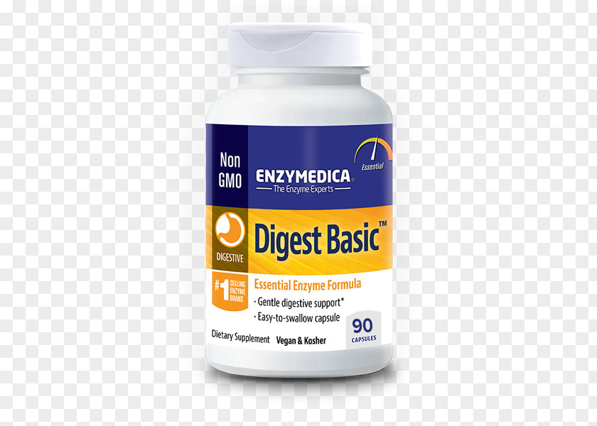 Digestive Enzyme Digestion Food Probiotic PNG