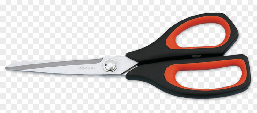 Knife Kitchen Utensil Scissors Arcos PNG