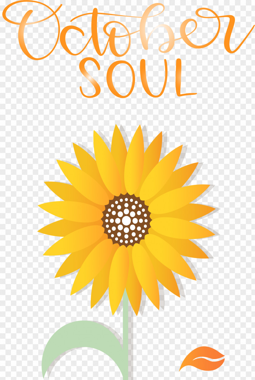 October Soul Autumn PNG