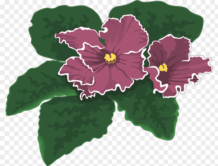 African Violets Photography PNG