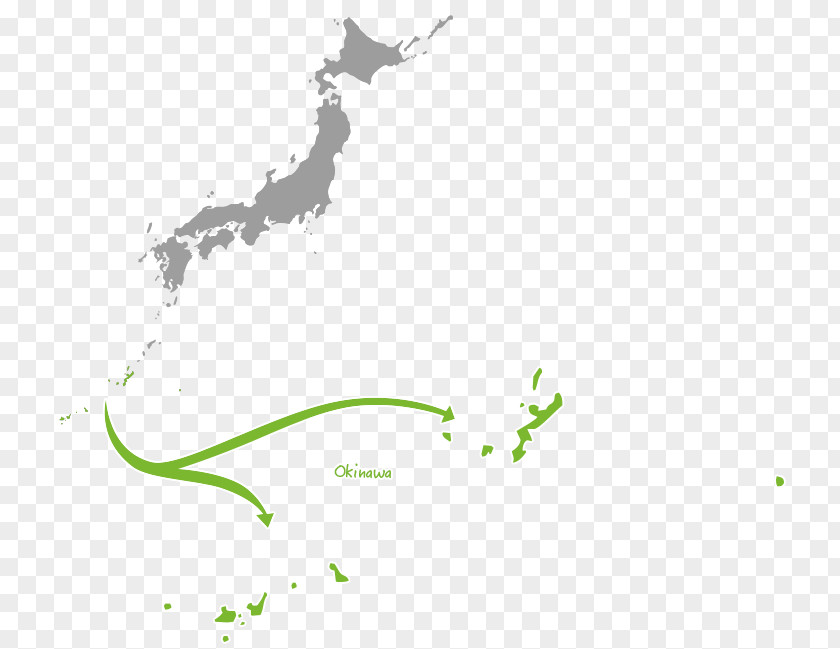 Japan Vector Graphics Image Illustration PNG