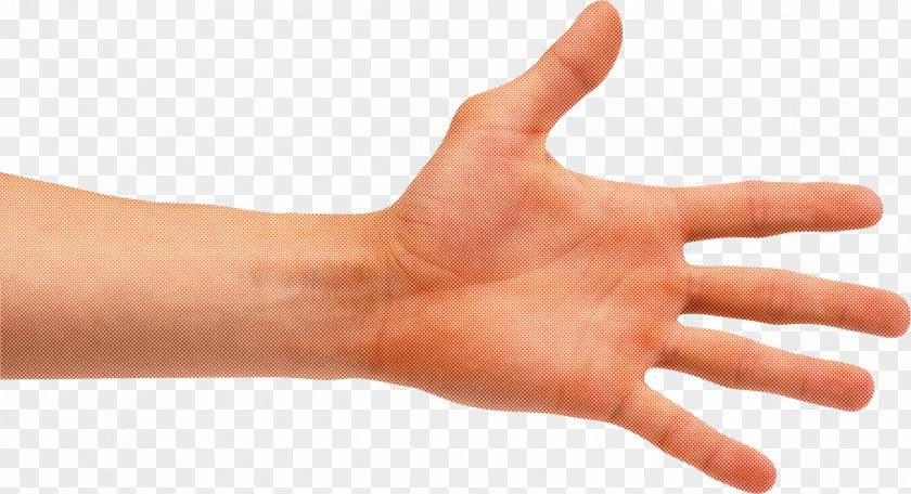Nail Sign Language Finger Hand Skin Thumb Gesture PNG